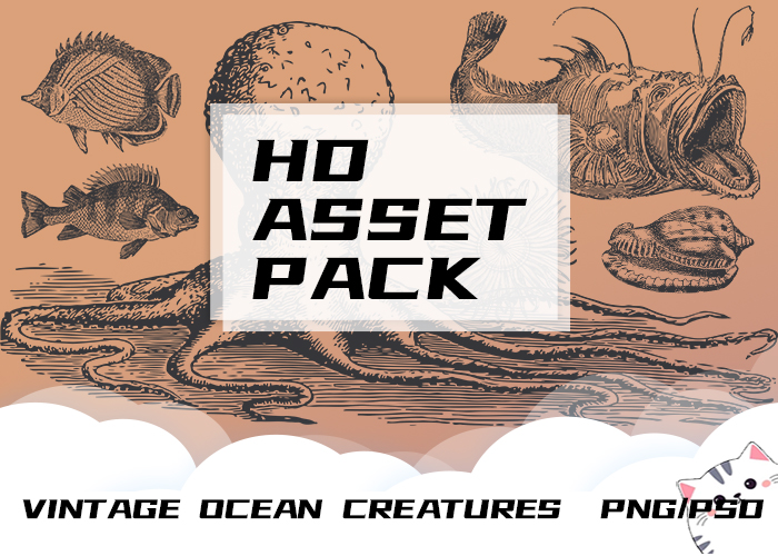 Asset image