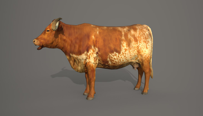 Asset image