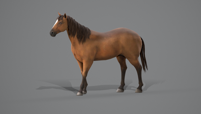 Asset image