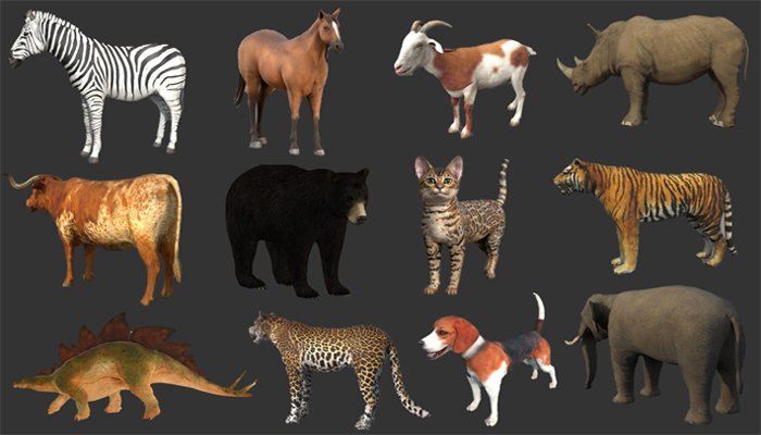 Asset image
