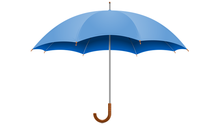 Asset image