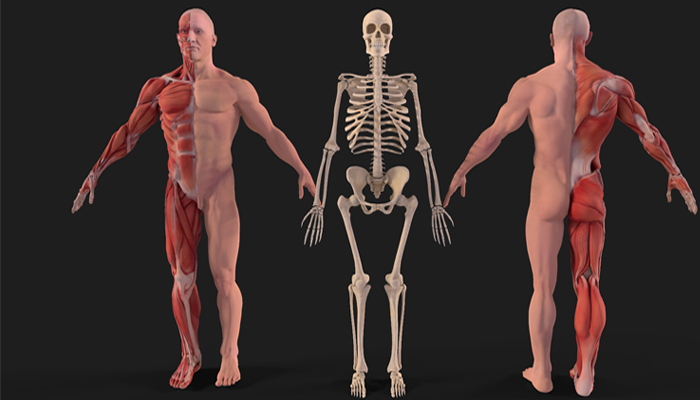 Asset image