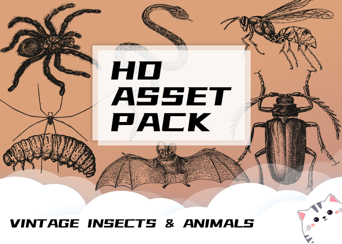 Asset image