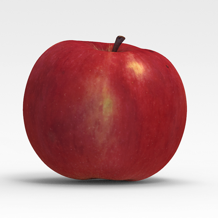 Asset image