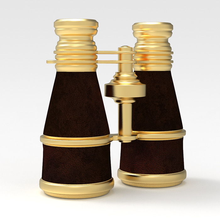 Asset image