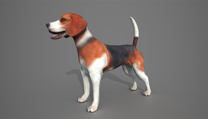 Asset image