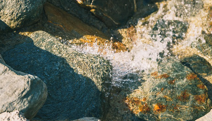 Asset image