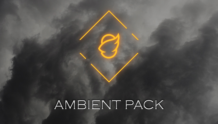 Asset image