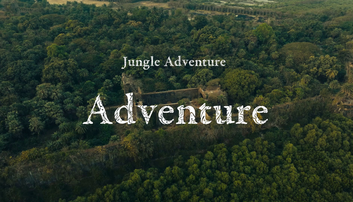 Asset image