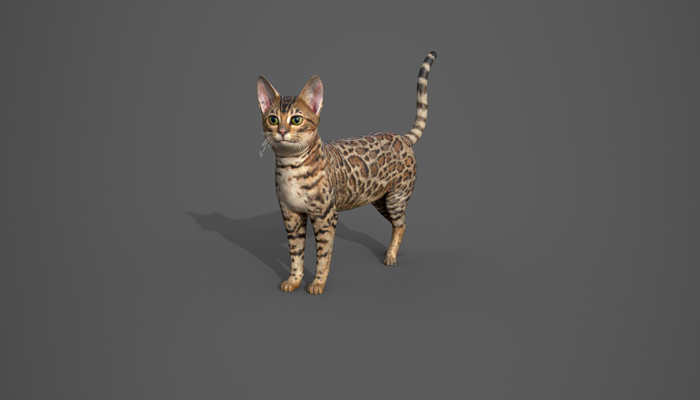 Asset image