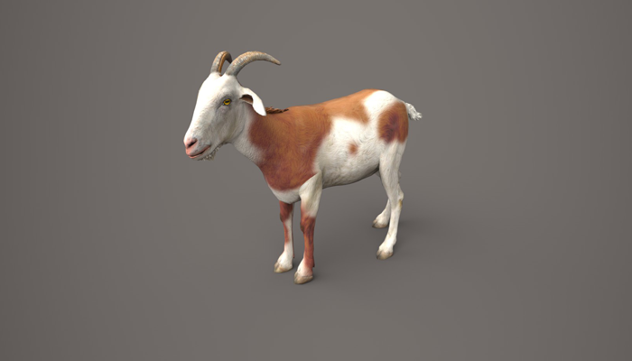 Asset image