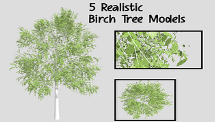 Asset image