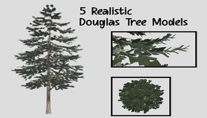 Asset image
