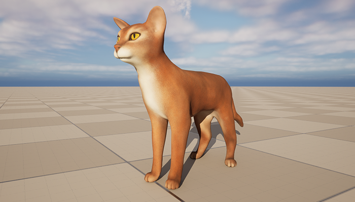 Asset image