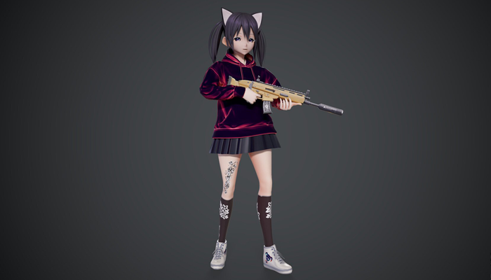 Asset image
