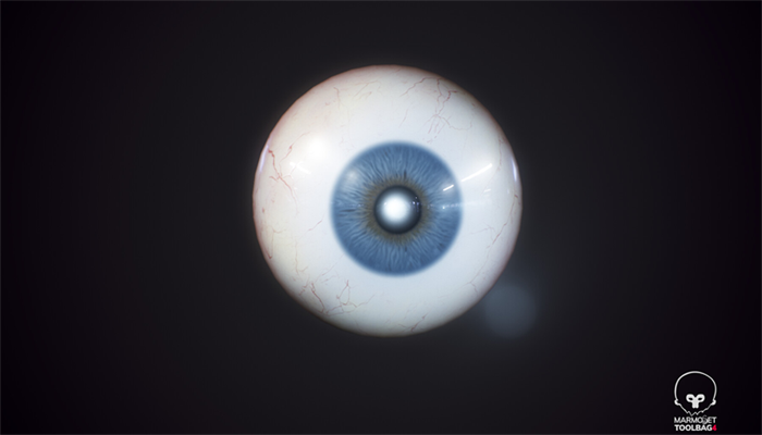 Asset image