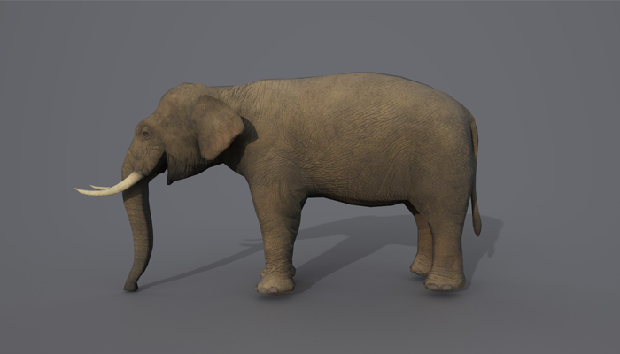 Asset image
