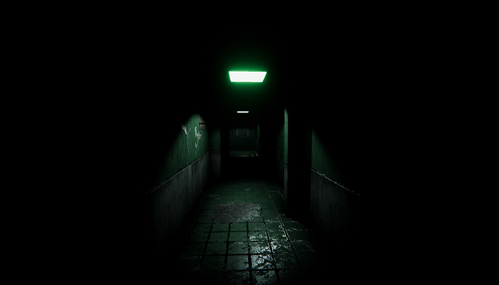 Asset image
