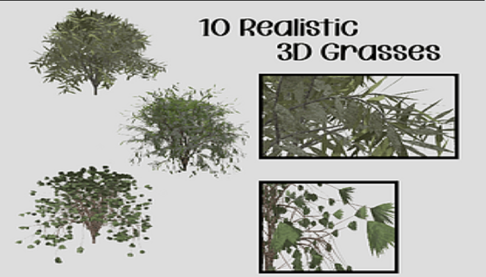 Asset image