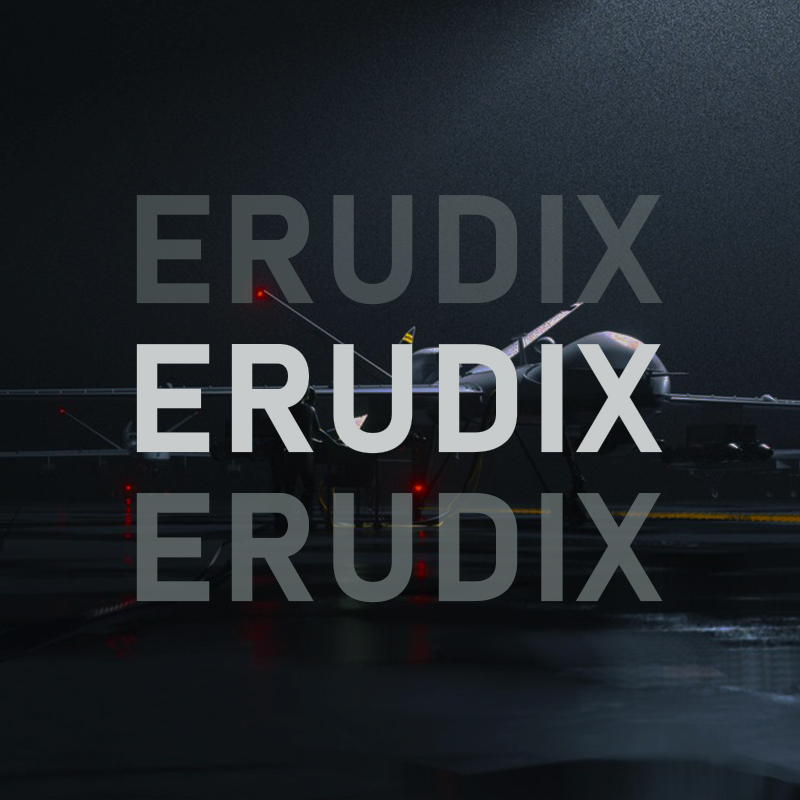 ERUDIX_OST's profile image