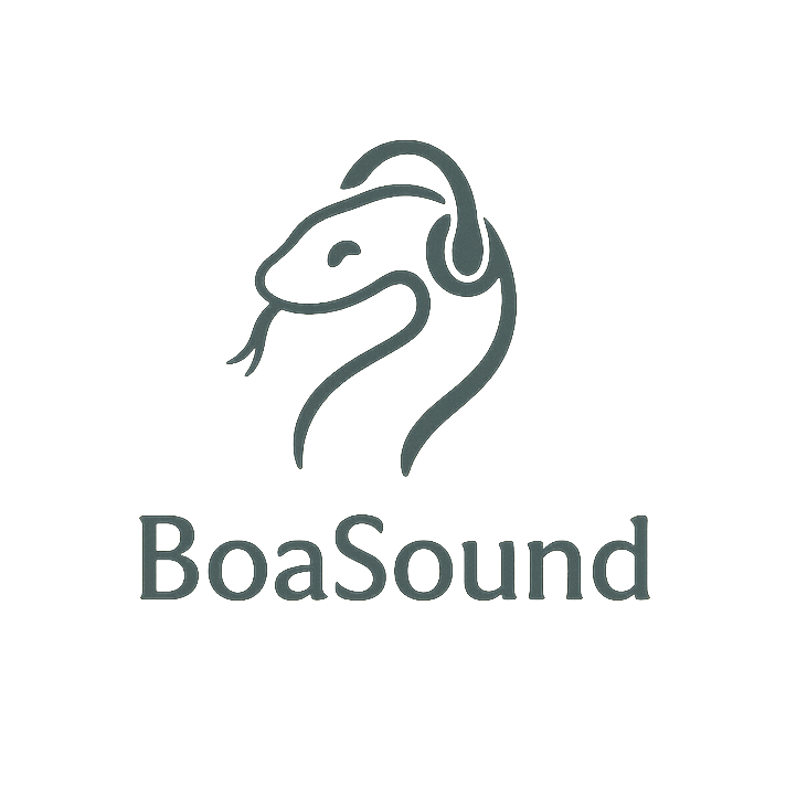 BoaSound's profile image