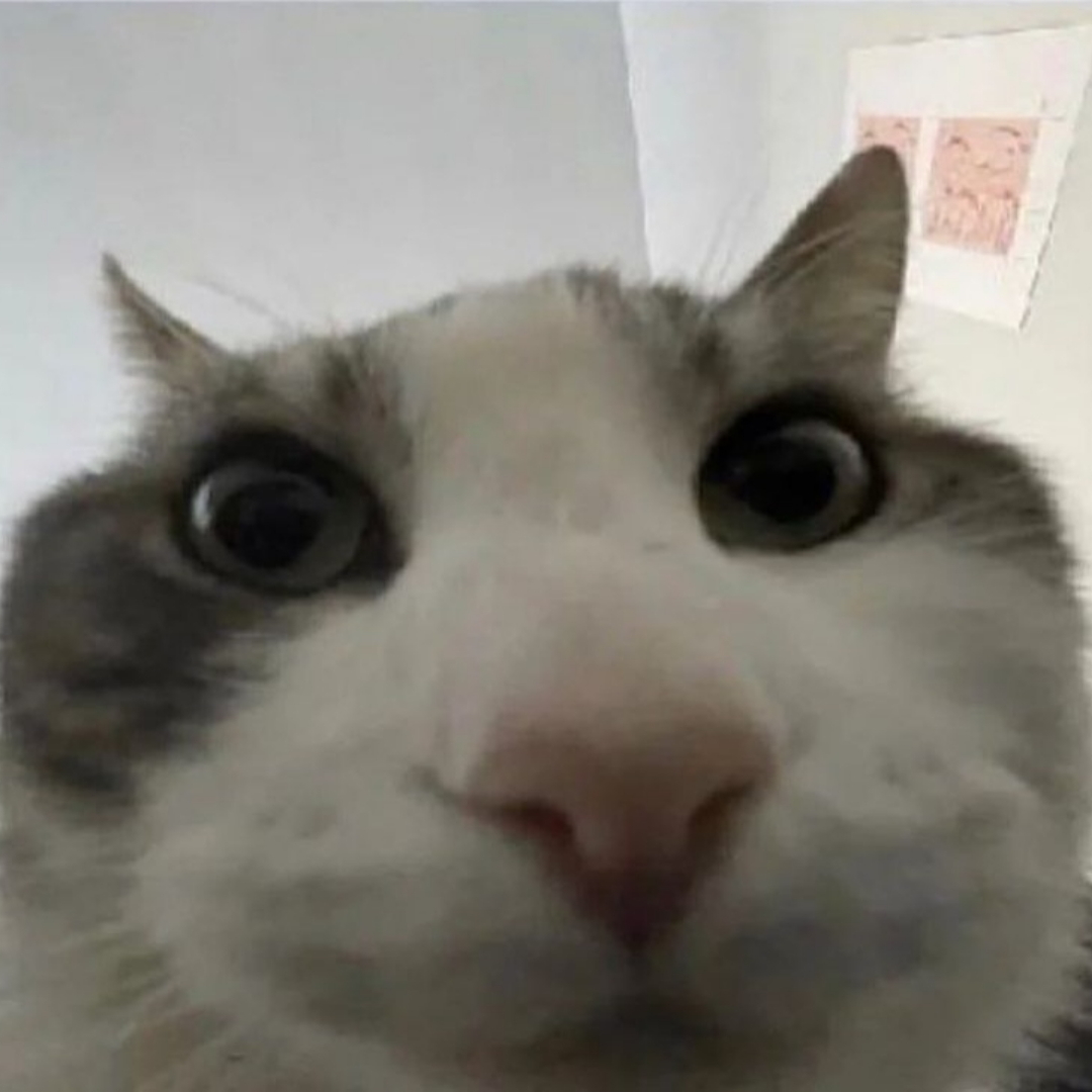lemon42's profile image